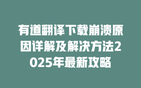 有道翻译下载崩溃原因详解及解决方法2025年最新攻略 二