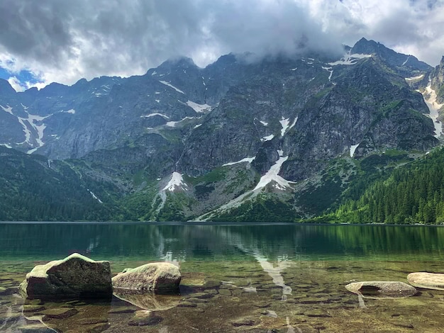 有道翻译下载版本:2025年最新官方指南解析 有道翻译下载版本:2025年最新官方指南解析 一