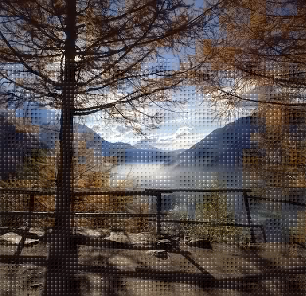 有道翻译下载升级？最新教程详解2025年 一