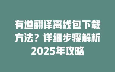 有道翻译离线包下载方法？详细步骤解析2025年攻略 二