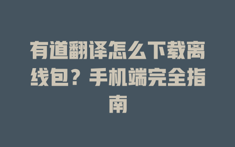 有道翻译怎么下载离线包？手机端完全指南 二