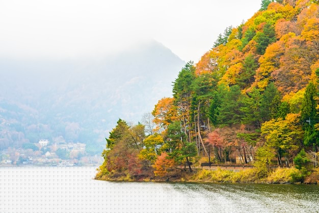 安卓手写版有道翻译下载安装详细教程流程图解2023最新版 安卓手写版有道翻译下载安装详细教程流程图解2023最新版 一