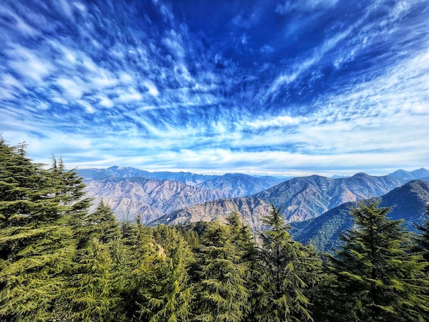 有道翻译手写电脑下载指南：如何便捷获取？ 一