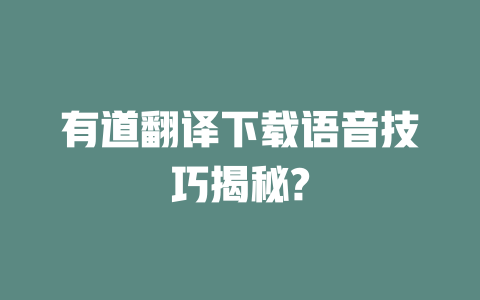 有道翻译下载语音技巧揭秘? 二