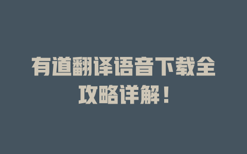 有道翻译语音下载全攻略详解！ 二